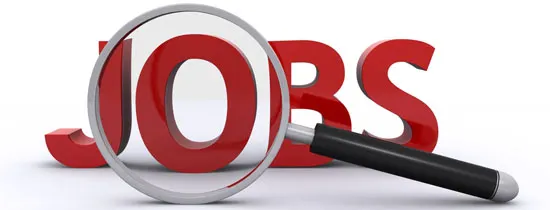 Mureș: posturile vacante în administrație