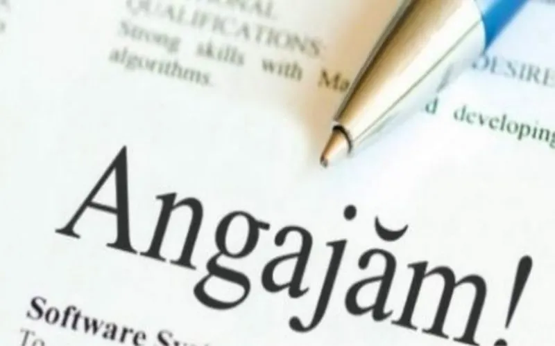 Locuri de muncă vacante în administrația mureșeană