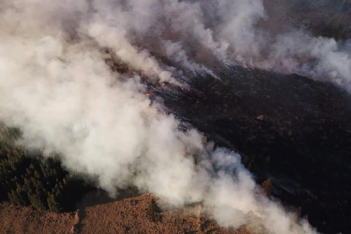 Incendiu în Munții Călimani!