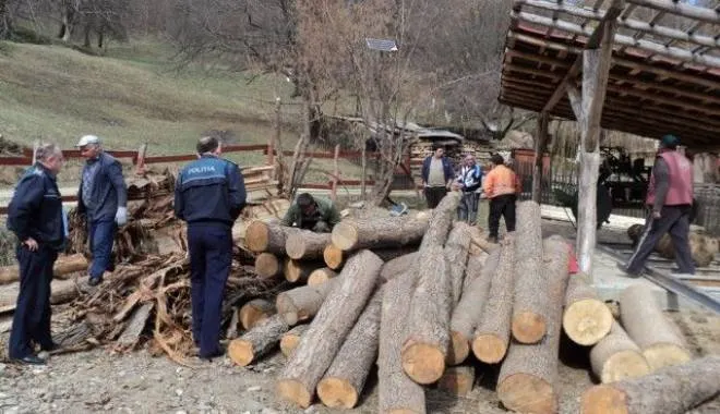 Lemn confiscat la Reghin, Ibănești și Toaca