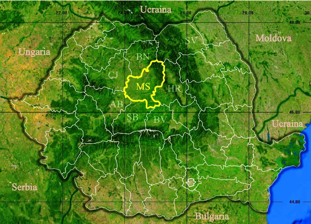 Mureșenii, DEZINTERESAȚI de referendum