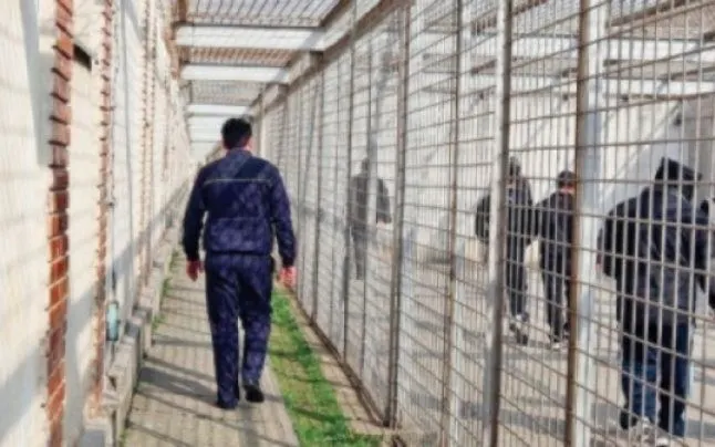 SIGHIȘOARA: Mandat de executare