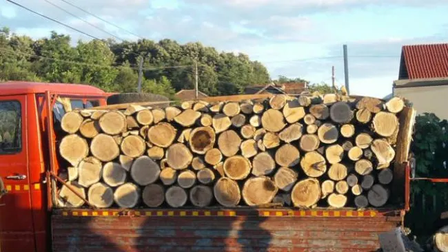 Lemn de foc confiscat la Rușii Munți și Grebenișu de Câmpie