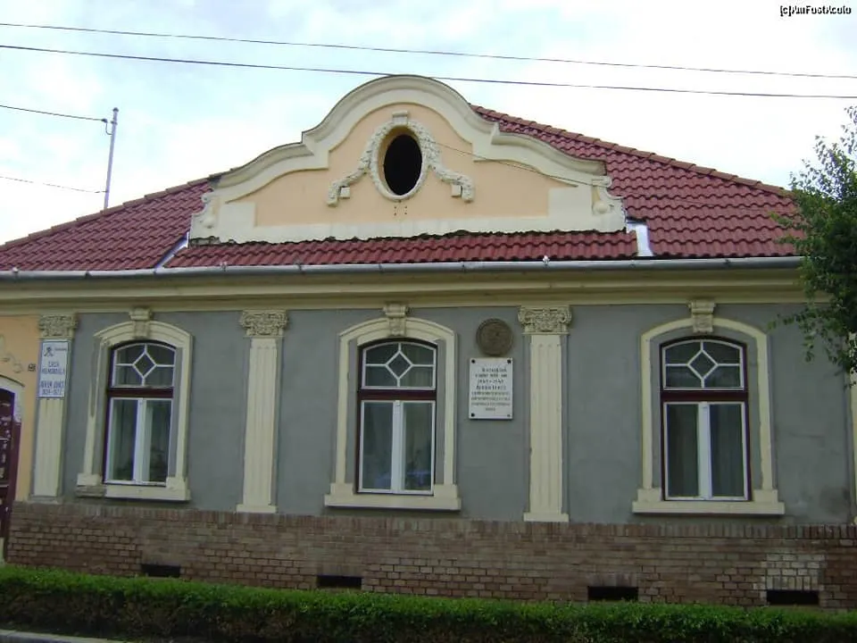 A fost REȚINUT autorul inscripțiilor de pe Casa Memorială "Avram Iancu"