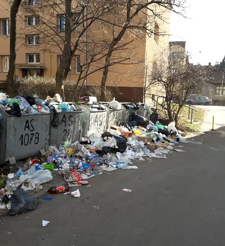 Salubriserv poate duce gunoiul în Depozitul de la Sânpaul