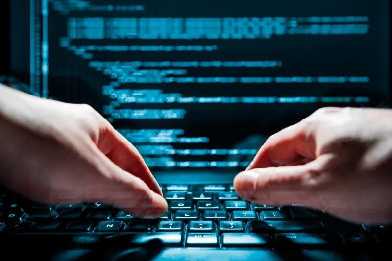 DANEȘ: Reținuți pentru fraudă informatică în Germania