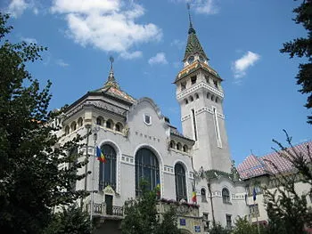Vot la vedere în Consiliul Județean Mureș