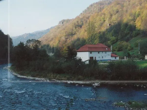 DEZMINȚIRE: Șoferul implicat în tragedia de la Aluniș NU S-A SINUCIS