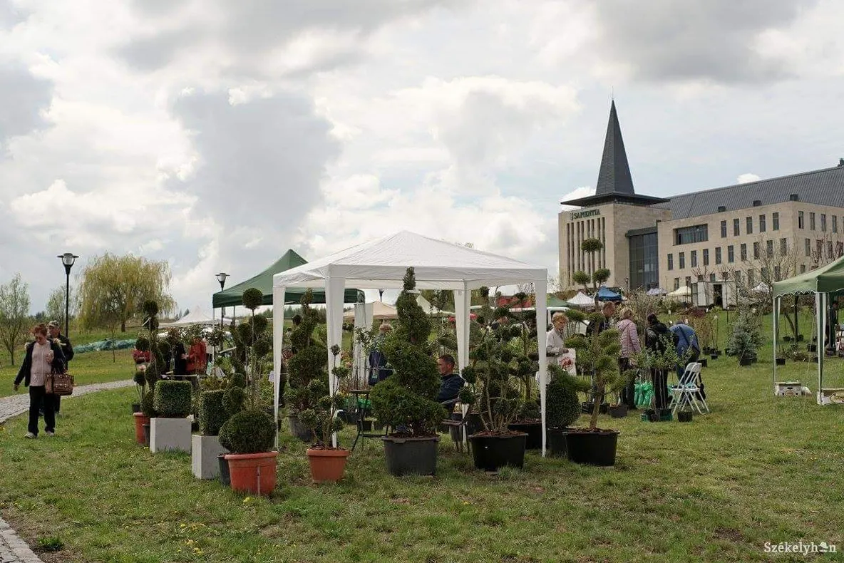 DESCHISĂ PÂNĂ LA ORA 19: Expoziția de flori și plante de la Universitatea Sapientia