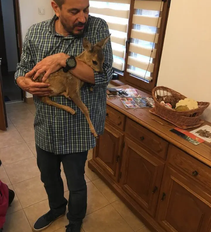 AVERTISMENT: NU luați din pădure puii de sănătoși de animale!