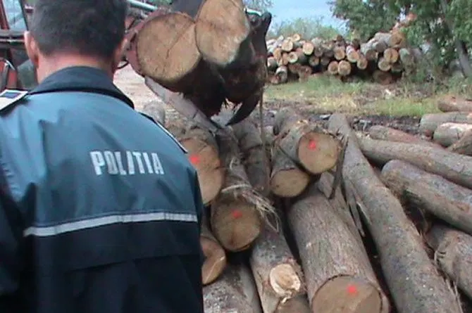 24 de metri cubi de lemn, confiscați la Hodac