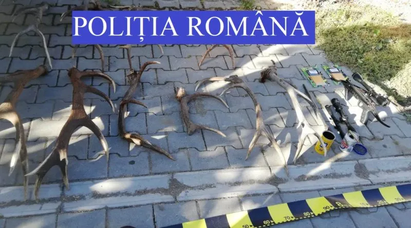 4 arestări în cazul de braconaj cinegetic descoperit la Reghin