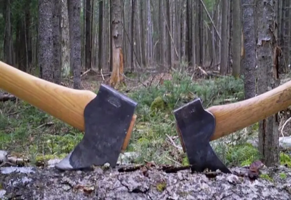 Doi mureșeni, REȚINUȚI pentru tăieri ilegale de arbori