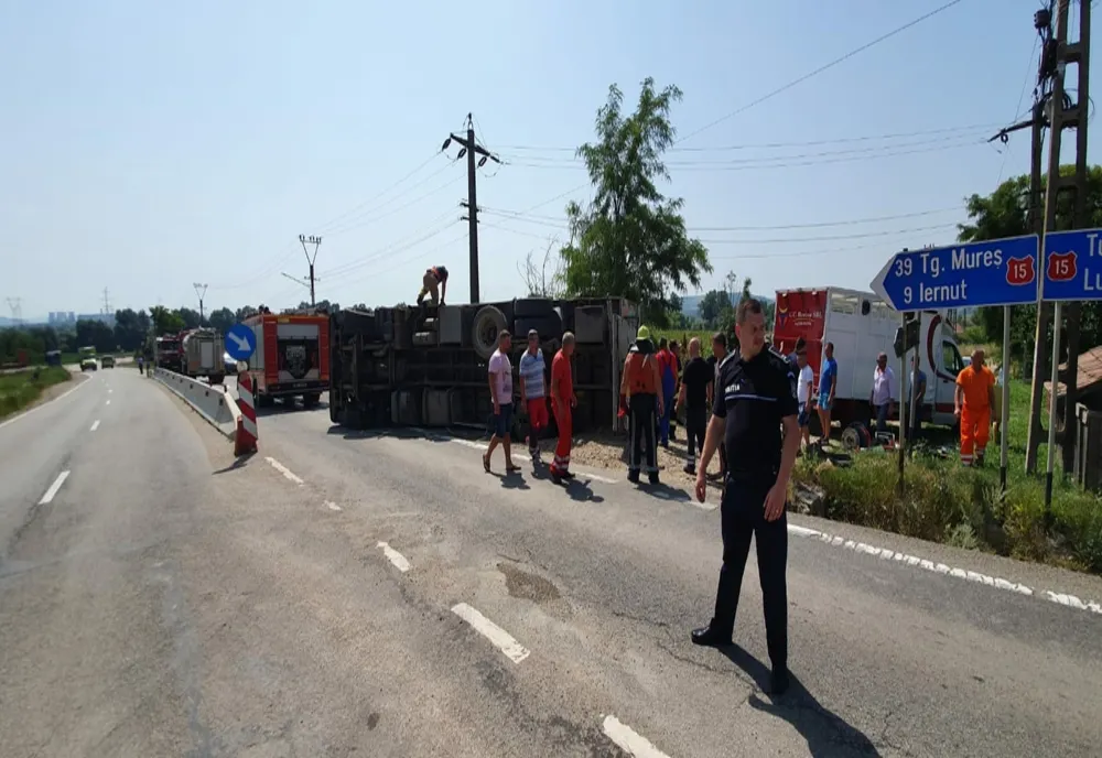 FOTO | TIR încărcat cu animale răsturnat în judeţul Mureş: două au murit, iar 21 au fost salvate