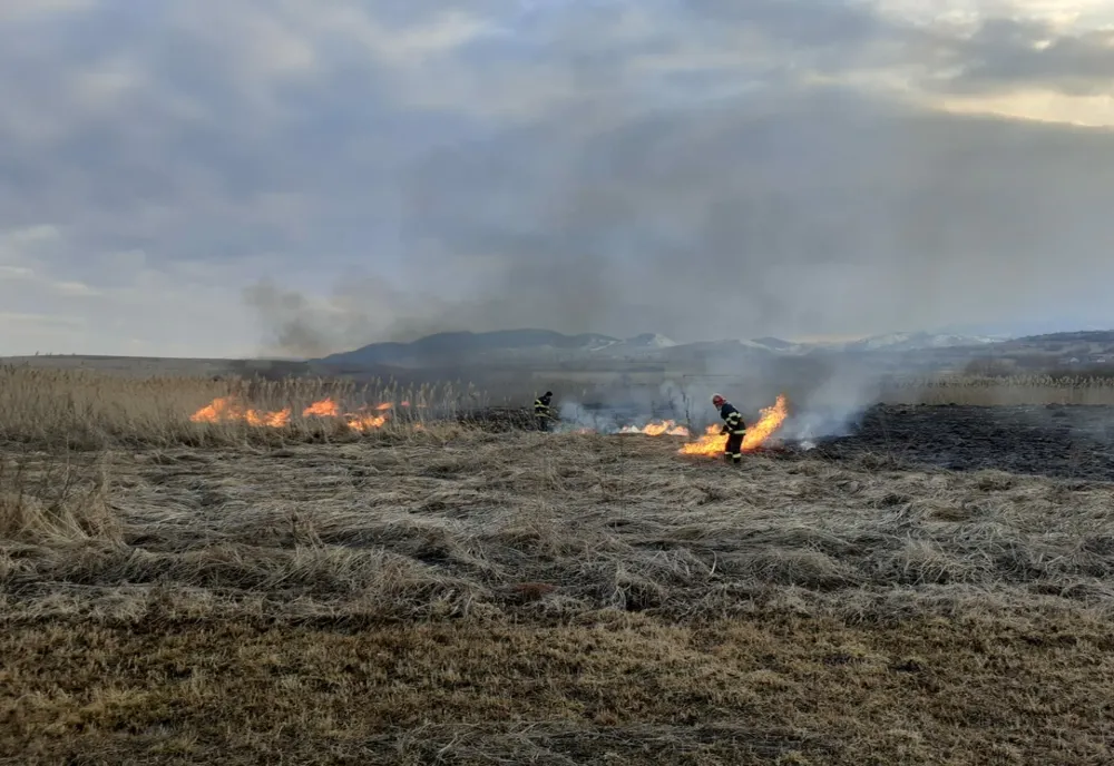 Peste 25 de incendii de vegetatie, în utimele 24 de ore, în Mureș