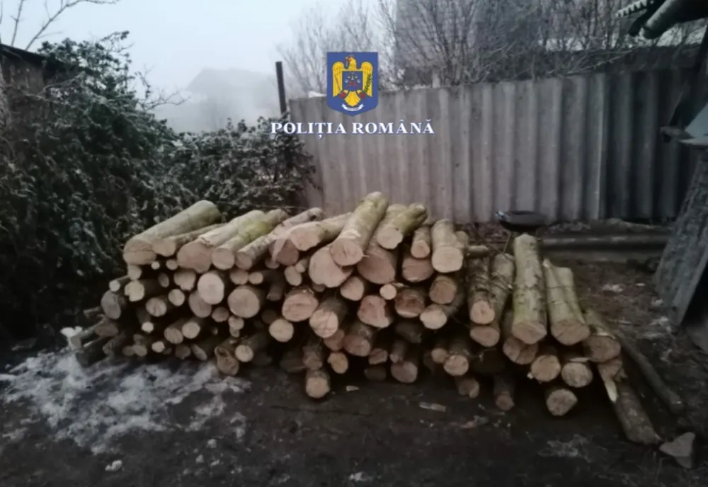 Doi bărbaţi reţinuţi pentru 24 de ore! Au furat lemne din fondul național din localitea Chinari (FOTO)