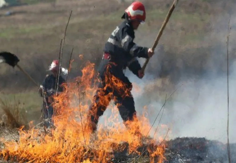 NUMĂRUL INCENDIILOR DE VEGETAȚIE A CRESCUT CU APROAPE 90% ÎN 2024