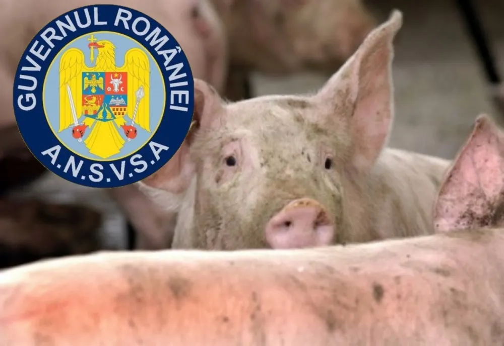 ANSVSA: ACȚIUNI DE CONTROL INTENSIFICATE ÎN PERIOADA SĂRBĂTORILOR DE IARNĂ