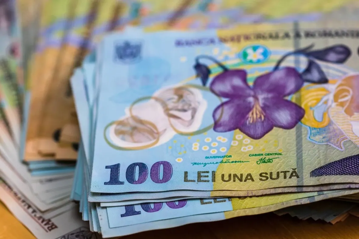 Pe ce își cheltuie românii banii. Mâncarea, taxele și utilitățile consumă cea mai mare parte din bugetul unei gospodării