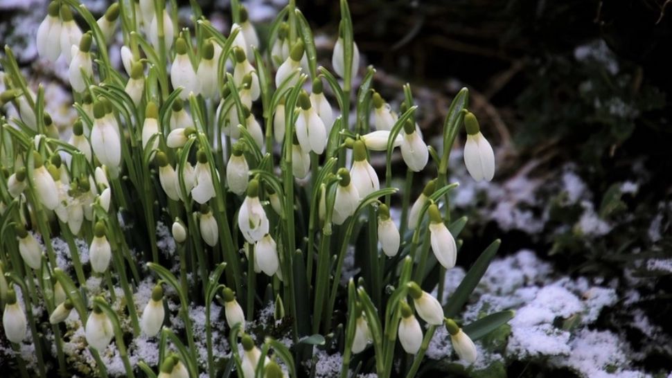 Vremea azi, 1 martie: temperaturi peste normalul perioadei. Maximele ajung la 17 grade în unele regiuni