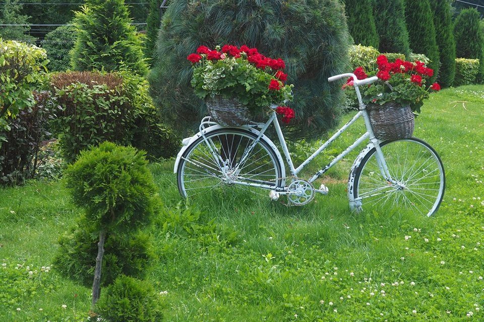 Județul Mureș, pe Via Transilvanica: “Drumul care unește”