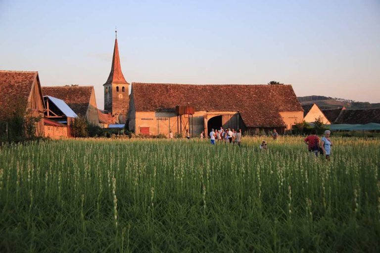 Sărbătoare cu miros de tuberoze