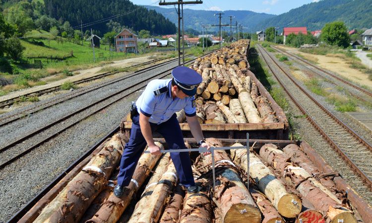 Hodac: lemn confiscat