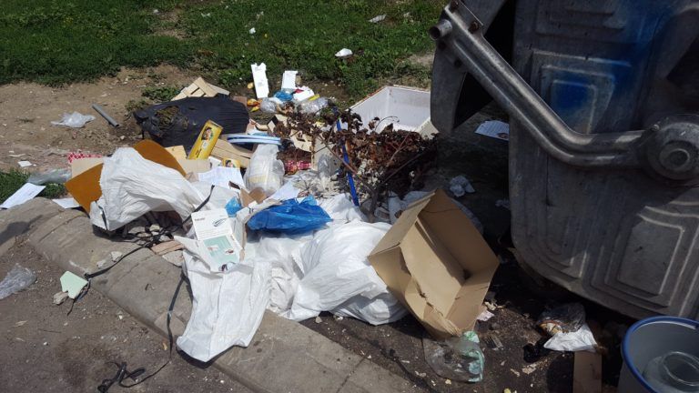 De la Poliția Locală Tîrgu Mureș...