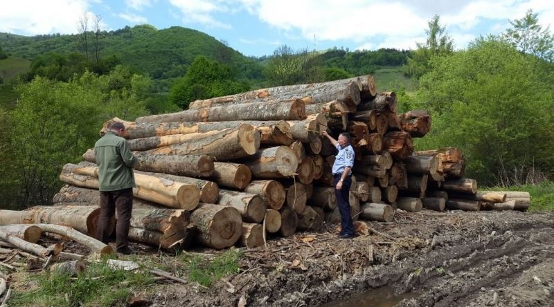 Lemn confiscat la Ibănești