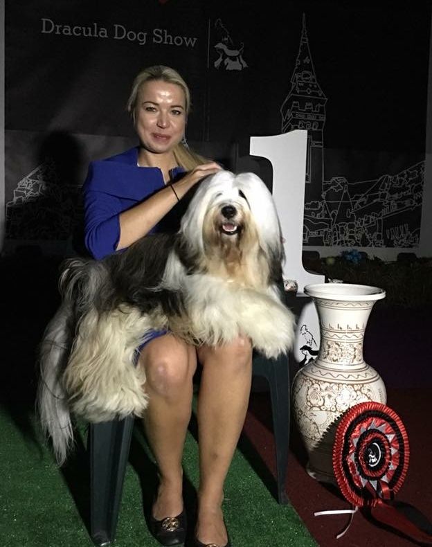 Tîrgu Mureș: “Dracula Dog Show”, cel mai important eveniment chinologic din România