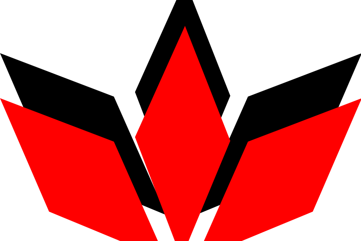 Întrebări dure transmise de Kozma Mónika consilierilor UDMR Tîrgu Mureș