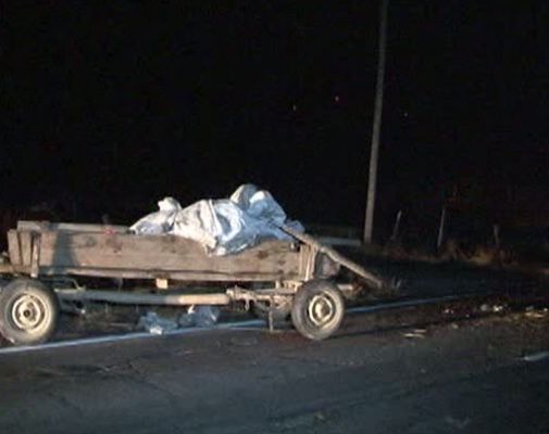 Căruțaș băut: și-a omorât calul și și-a băgat iubita în spital