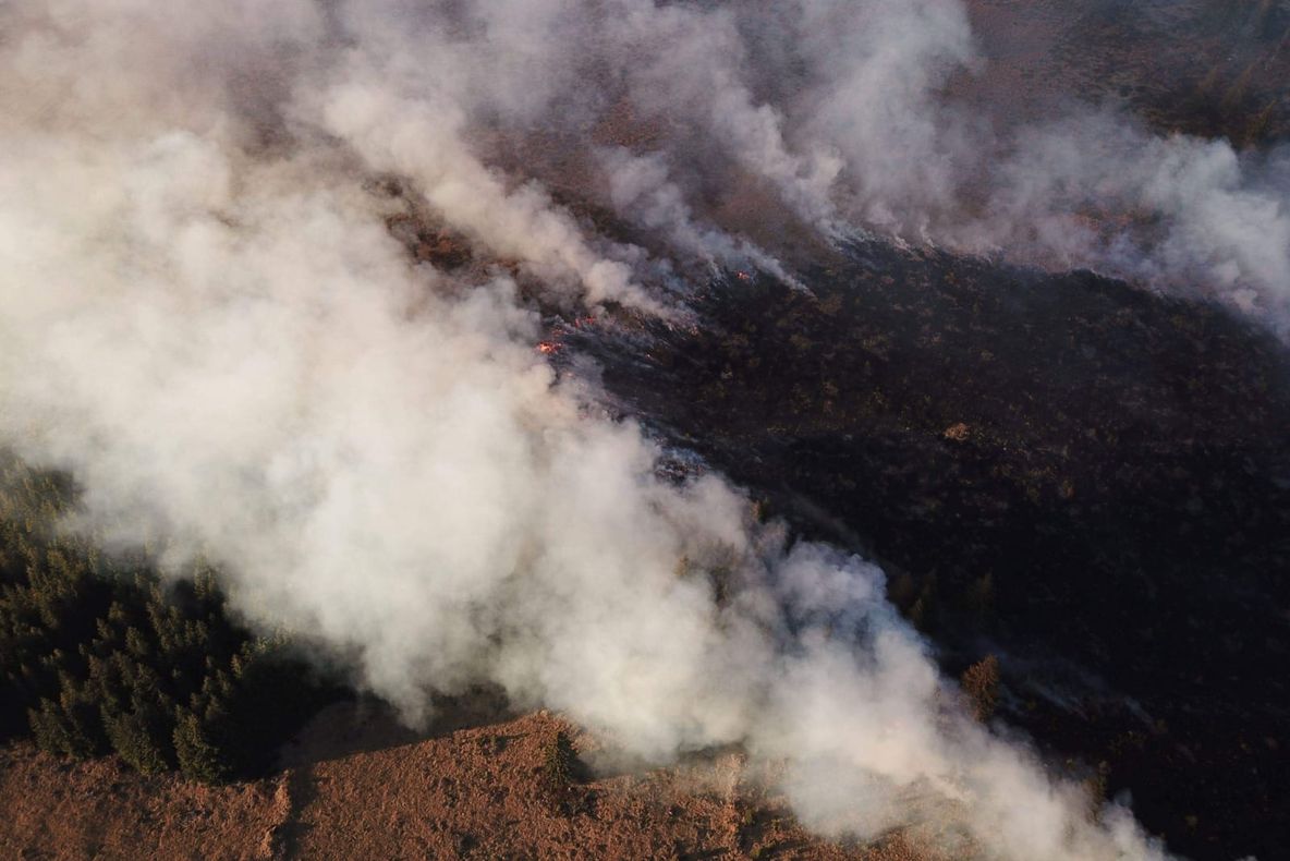 Incendiu în Munții Călimani!
