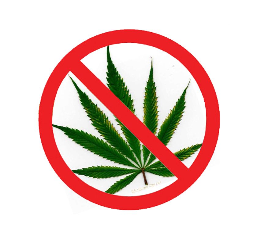 Ofensivă împotriva consumului de droguri în școlile mureșene