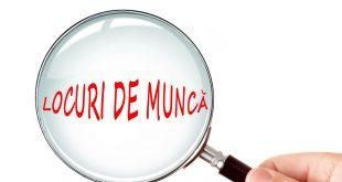 Peste 800 de locuri de muncă vacante, în județul Mureș