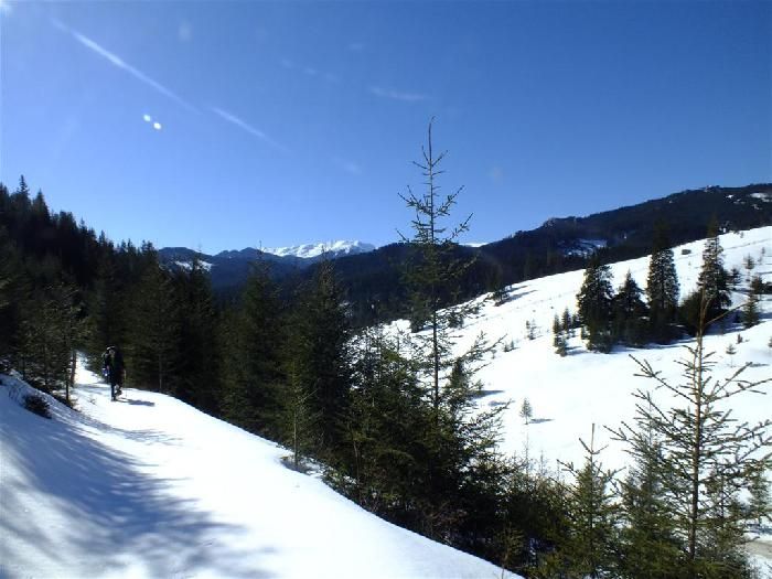 Zăpadă de peste 1 metru, în Călimani
