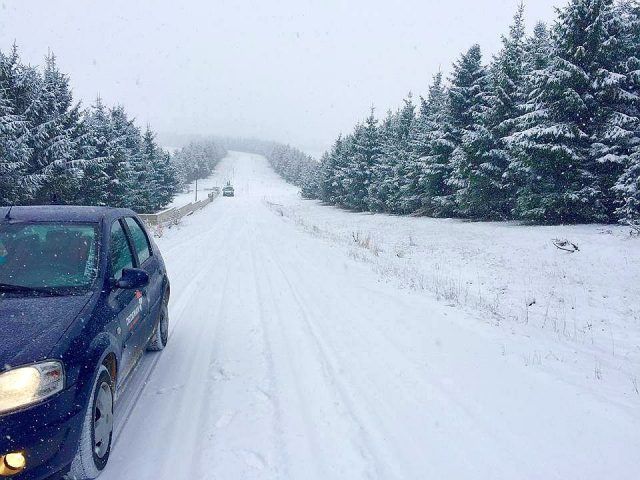 Acțiune de căutare în Munții Gurghiului, zona Lăpușna