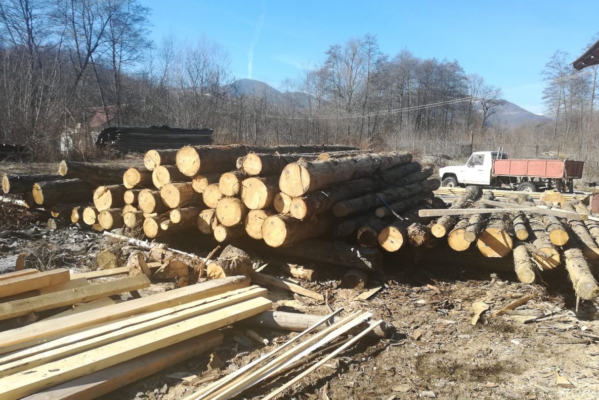 Studenții mureșeni sunt invitați în Austria, la Castelul Seggau