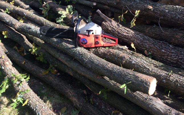 Programul actualizat al Piscinei „ing. Mircea Birău"