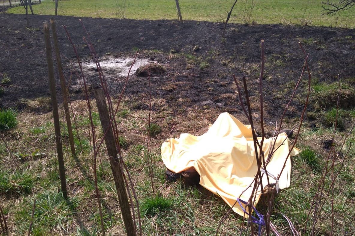 FOTO/ASTĂZI: Cadavrul carbonizat al unei femei a fost descoperit în Hodac