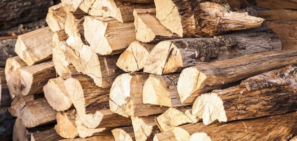 Escroc pe Internet. Un mureșean a fost reținut