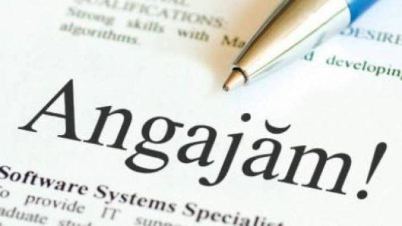 Locuri de muncă, la primăriile din Târgu Mureș, Sovata și Cucerdea