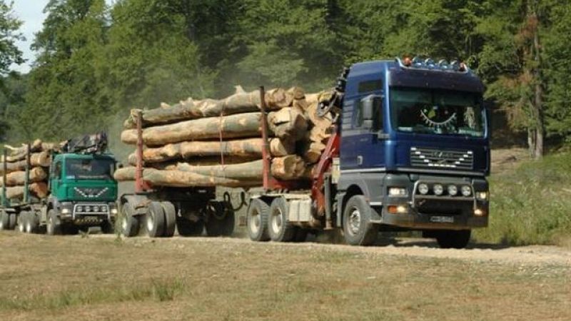 ACȚIUNE a polițiștilor mureșeni: lemn confiscat, în valoatre de peste 1.000 de euro