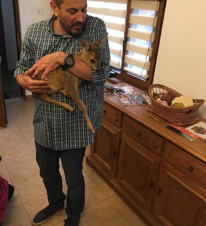 AVERTISMENT: NU luați din pădure puii de sănătoși de animale!