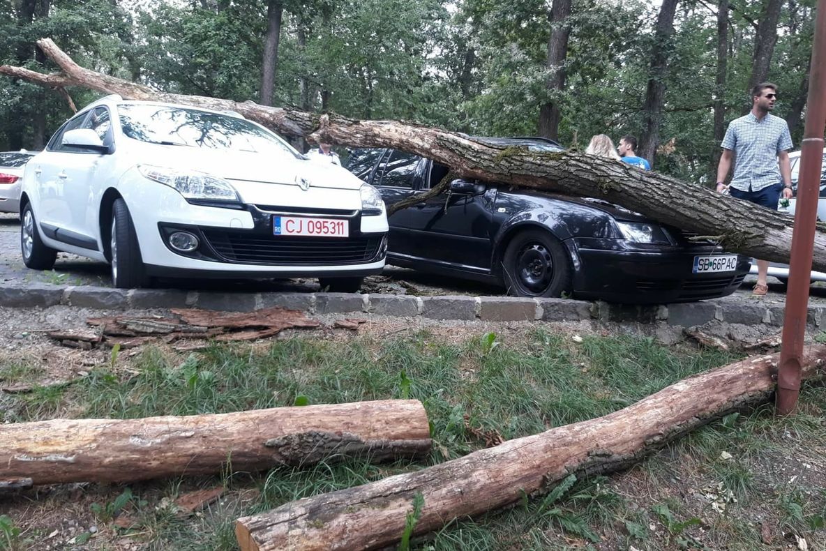 FOTO: Un copac a căzut peste două mașini, în parcarea de la Platoul Cornești