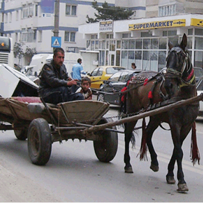 Căruțașii din Valea Rece care coboară în oraș sunt amendați
