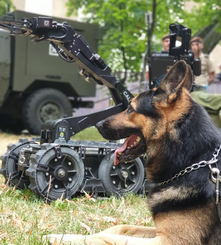 Militarii din Forțele pentru Operații Speciale din Târgu Mureș, la UNTOLD