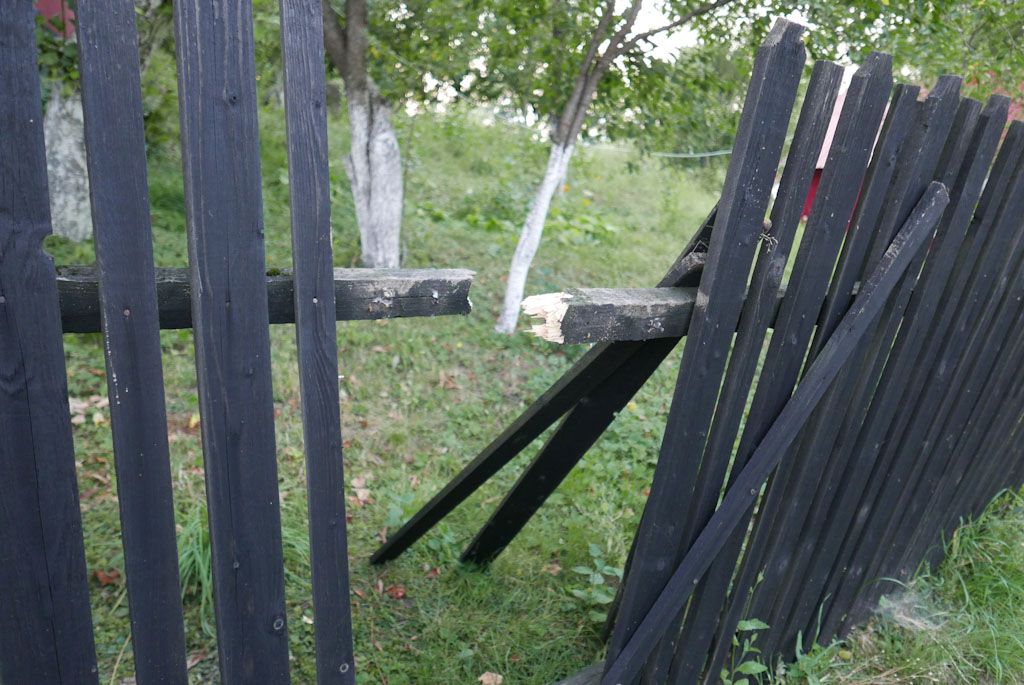 Un urs a luat un porc de 300 de kilograme în satul Isticeu, din comuna Ibănești