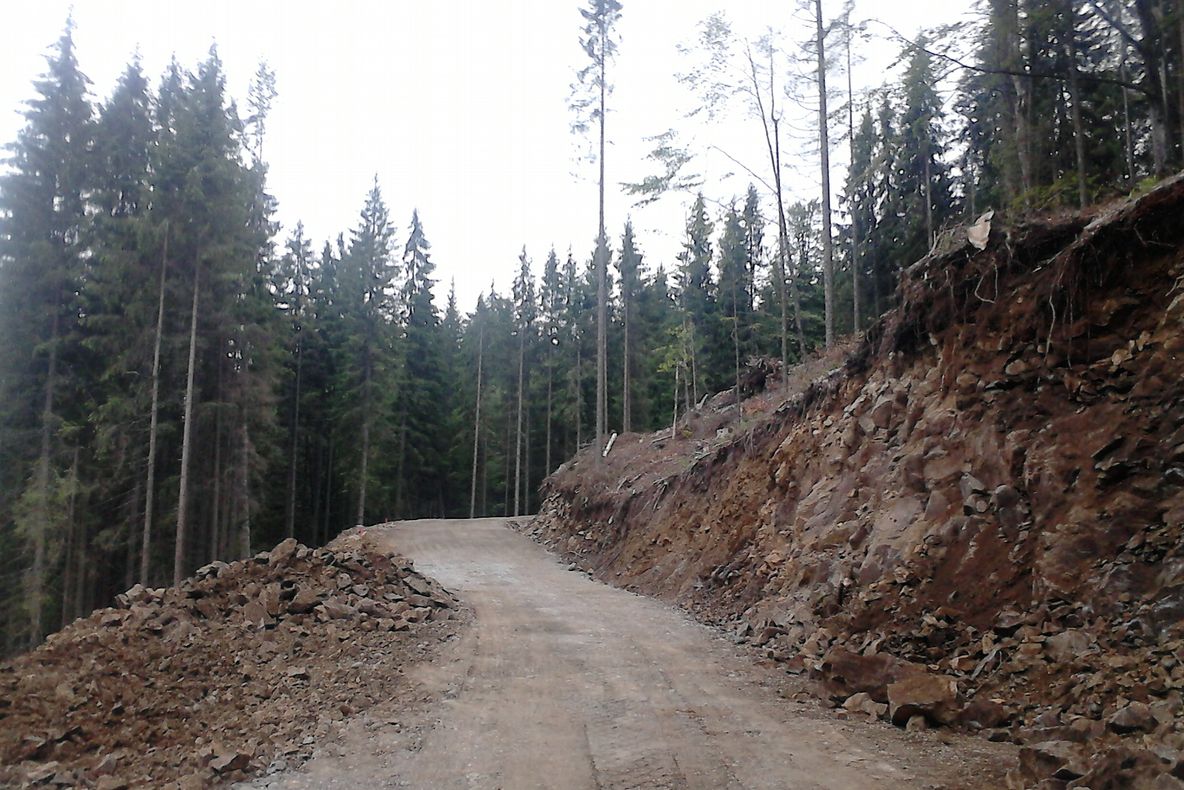 ROMSILVA: Toleranță 0 față de angajații Direcției Silvice Mureș, care și-au bătut colegul