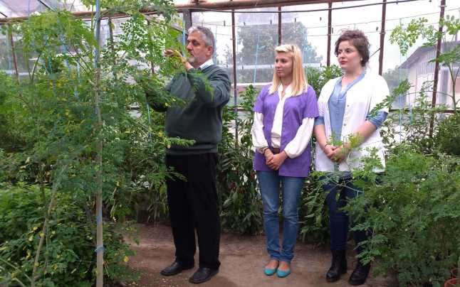 Primarii mureșeni, instruiți pentru alegerile prezidențiale